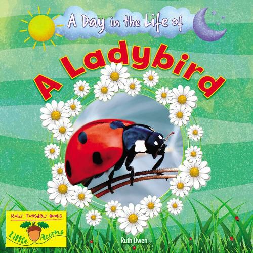 Cover image for A Ladybird