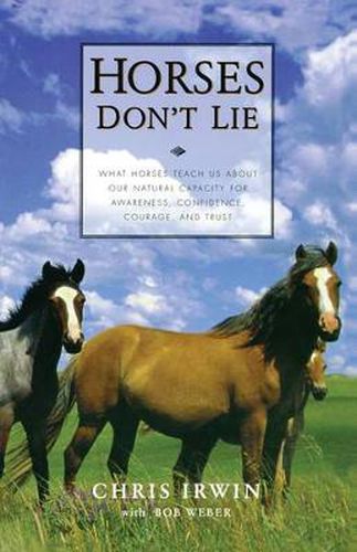 Cover image for Horses Don't Lie