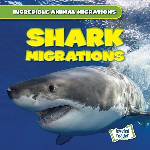 Shark Migrations