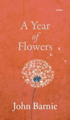 Cover image for Year of Flowers, A