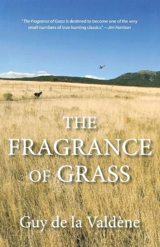 Cover image for Fragrance of Grass
