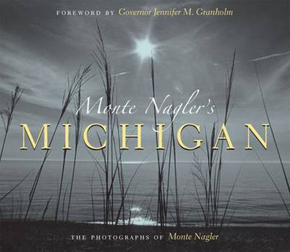 Cover image for Monty Nagler's Michigan