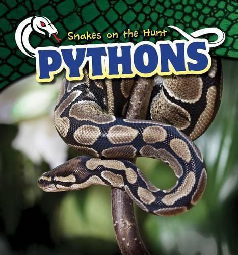 Cover image for Pythons