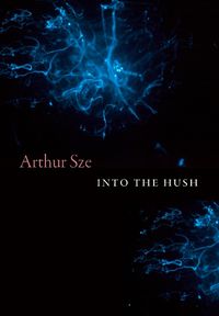 Cover image for Into the Hush