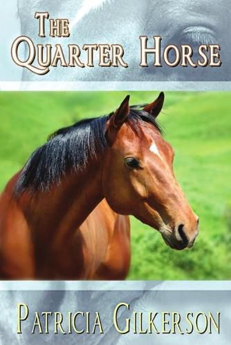 The Quarter Horse