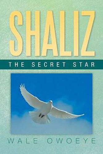 Cover image for Shaliz - The Secret Star