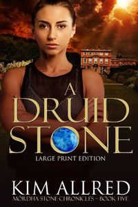 Cover image for A Druid Stone Large Print