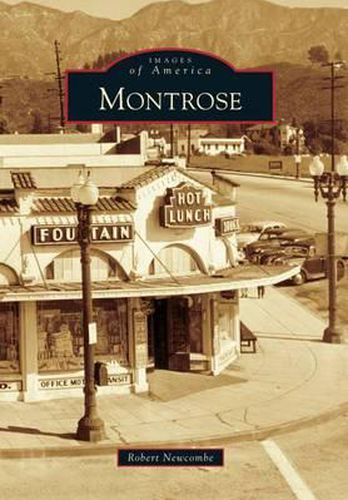 Cover image for Montrose