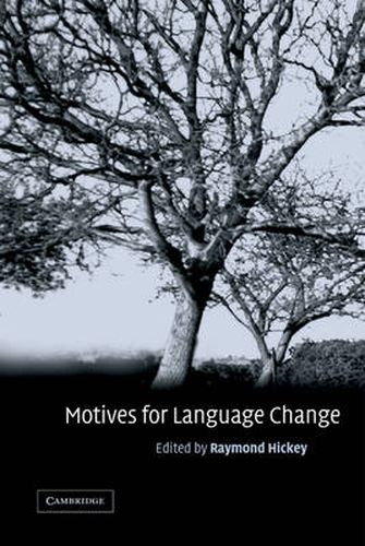 Cover image for Motives for Language Change