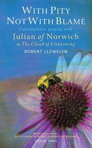 Cover image for With Pity Not With Blame: Contemplative praying with Julian of Norwich and 'The Cloud of Unknowing