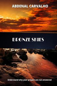 Cover image for Bronze Skies