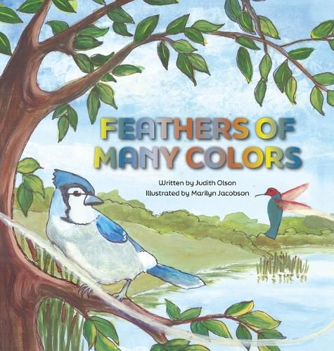 Cover image for Feathers of Many Colors