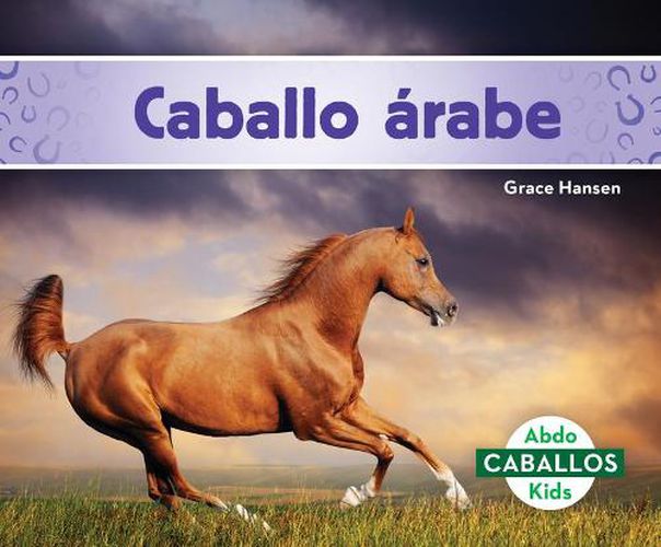 Cover image for Caballo A!Rabe/ Arabian Horses
