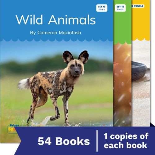 Cover image for Nelson Decodable Readers Sets 15-20 + Supplemental Non-Fiction Pack x54