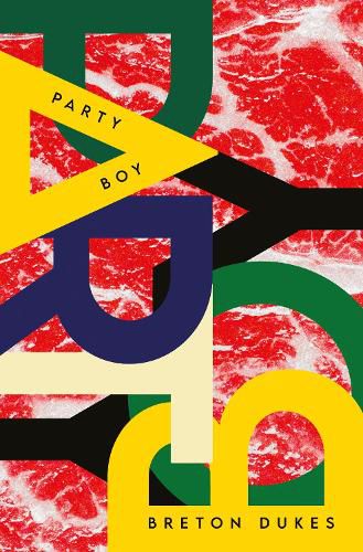 Cover image for Party Boy