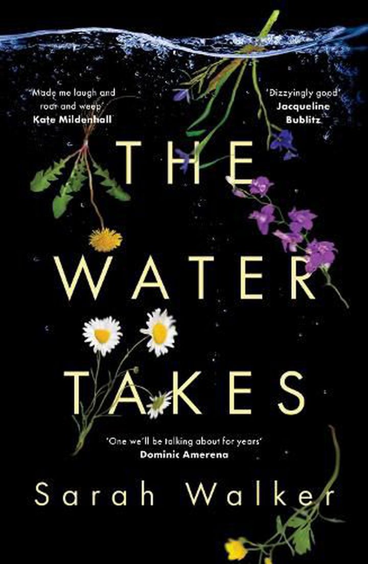 The Water Takes by Sarah Walker