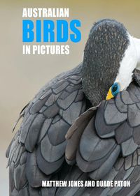 Cover image for Australian Birds in Pictures