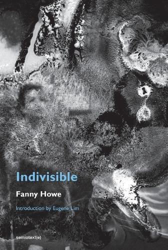 Cover image for Indivisible, new edition