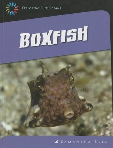 Cover image for Boxfish