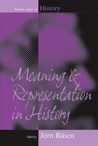 Cover image for Meaning and Representation in History