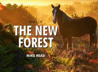 Cover image for Spirit of the New Forest