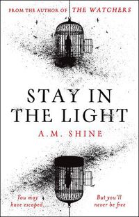 Cover image for Stay in the Light