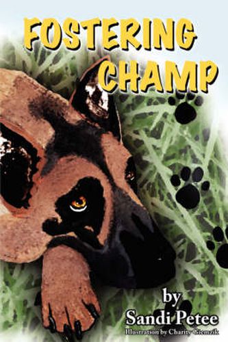 Cover image for Fostering Champ