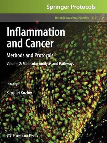 Cover image for Inflammation and Cancer: Methods and Protocols: Volume 2, Molecular Analysis and Pathways