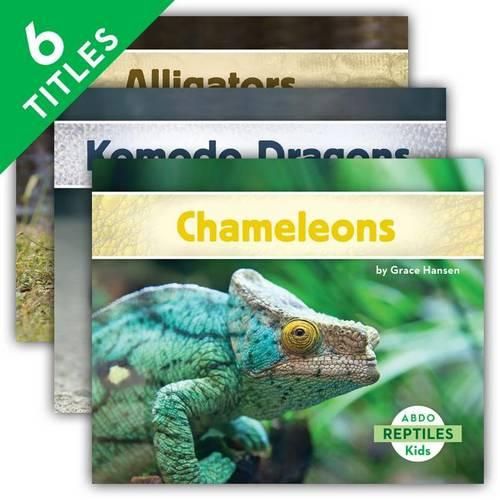 Cover image for Reptiles Set
