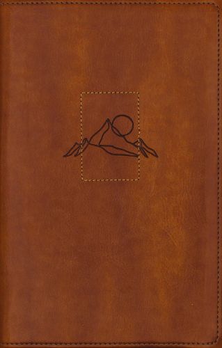 Cover image for NIV, Spiritual Habits Bible, Leathersoft, Tan, Red Letter, Comfort Print