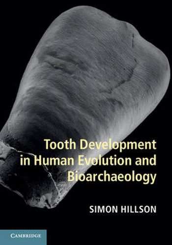 Cover image for Tooth Development in Human Evolution and Bioarchaeology