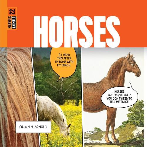 Cover image for Horses
