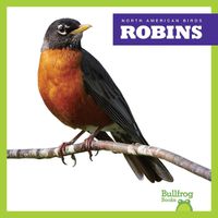 Cover image for Robins
