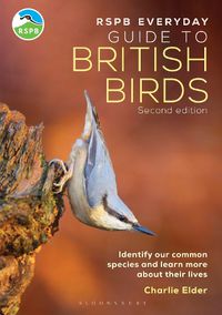 Cover image for The RSPB Everyday Guide to British Birds