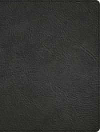 Cover image for CSB Men of Character Bible, Revised and Updated, Black Genuine Leather, Indexed