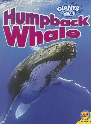 Cover image for Humpback Whale