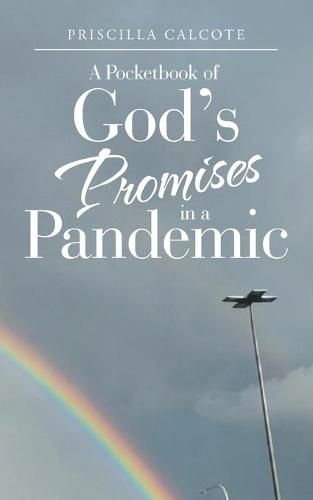 Cover image for A Pocketbook of God's Promises in a Pandemic