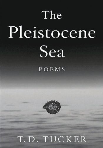 Cover image for The Pleistocene Sea