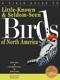 Cover image for A Field Guide To Little-Known And Seldom-Seen Birds Of North America