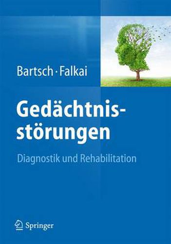 Cover image for Gedachtnisstoerungen: Diagnostik und Rehabilitation