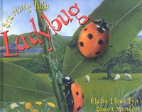 Cover image for Starting Life: Ladybug