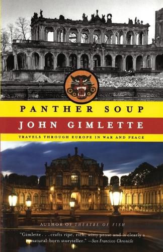 Cover image for Panther Soup: Travels Through Europe in War and Peace