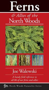 Cover image for Ferns & Allies of the North Woods: A Handy Field Reference to All 86 of Our Ferns and Allies