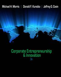 Cover image for Corporate Entrepreneurship & Innovation