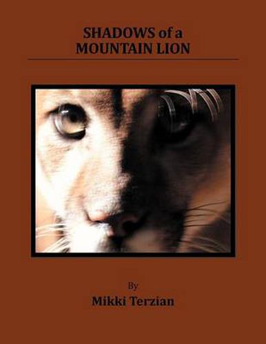 Cover image for Shadows of a Mountain Lion