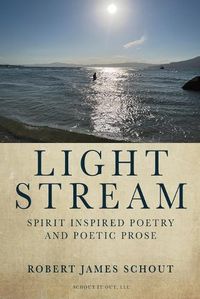 Cover image for Light Stream