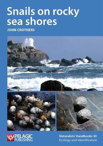 Cover image for Snails on rocky sea shores