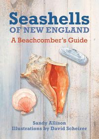 Cover image for Seashells of New England: A Beachcomber's Guide