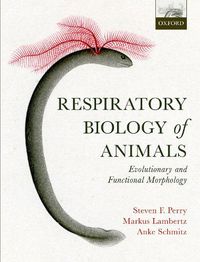 Cover image for Respiratory Biology of Animals: evolutionary and functional morphology