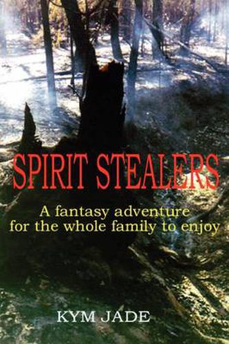 Cover image for Spirit Stealers